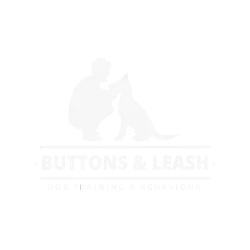 Buttons & Leash Dog Training & Behaviour - Caterham, Surrey