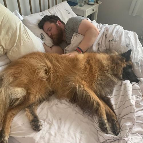 Coulsdon Dog Trainer