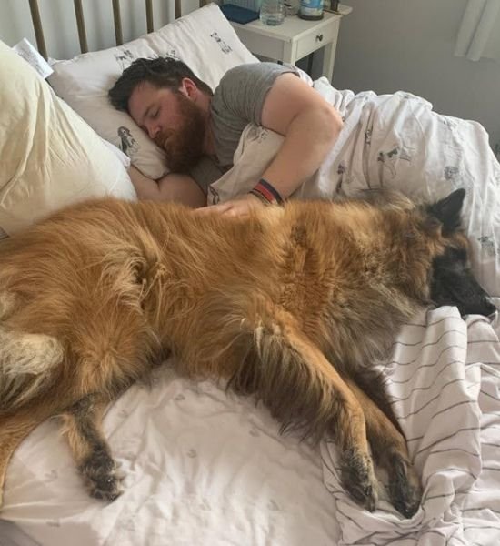 Dog trainer in surrey, west sussex & kent